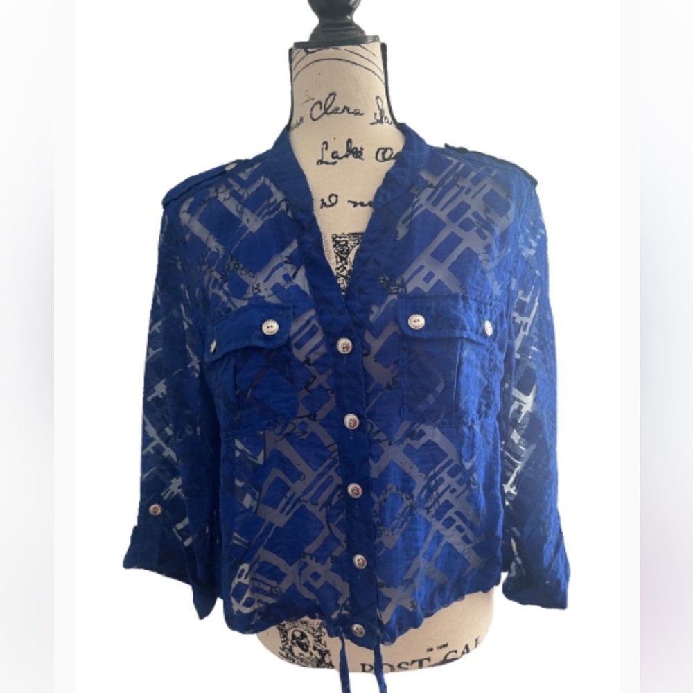 Lark Lane Trendy Cropped blue button up top‎